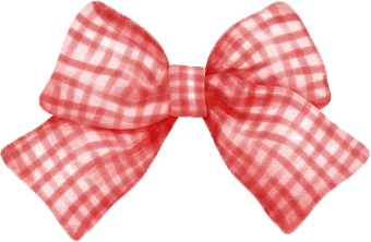 Plaid bow